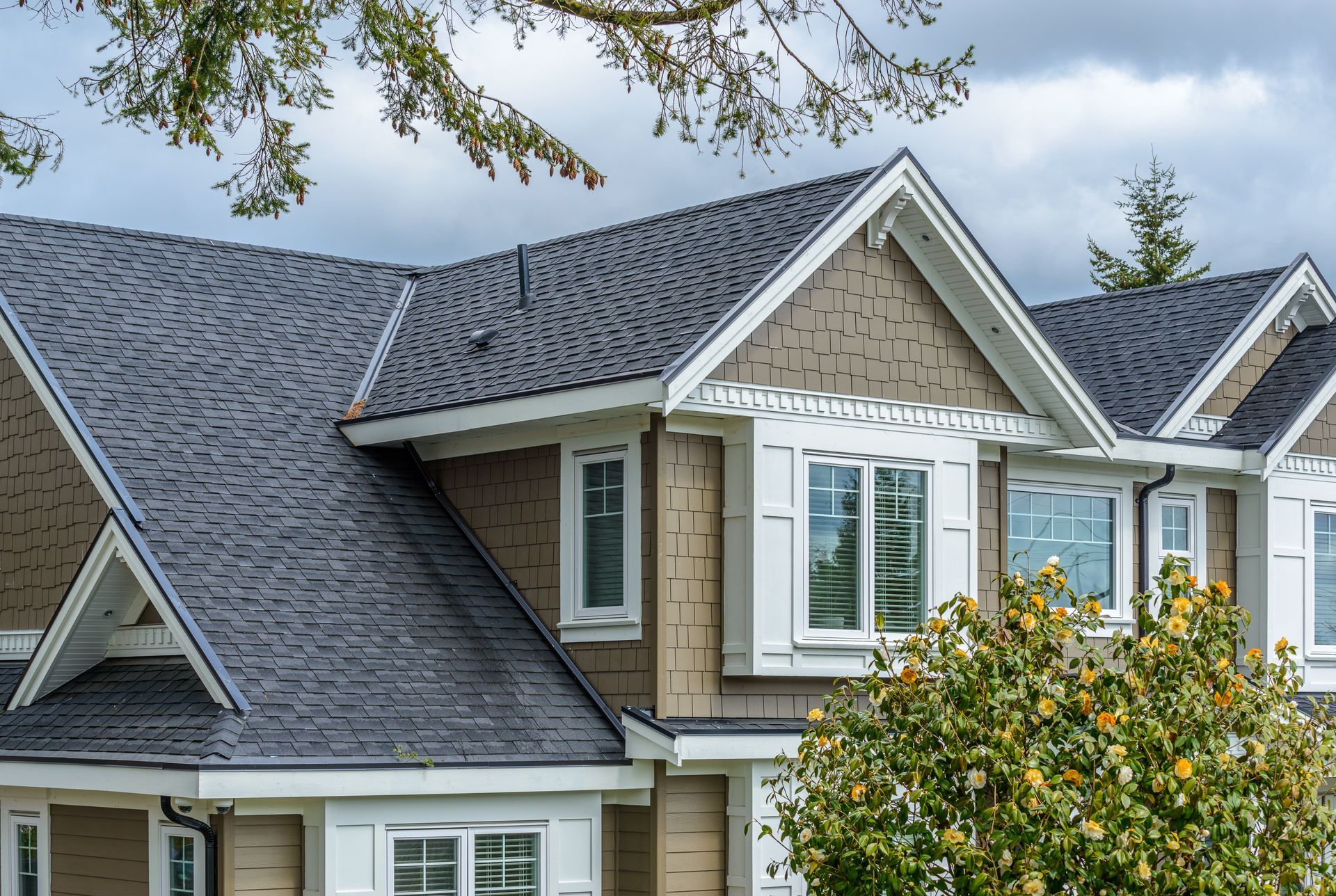 Brown house with a dark gray roof, white trim, and a bush in front.