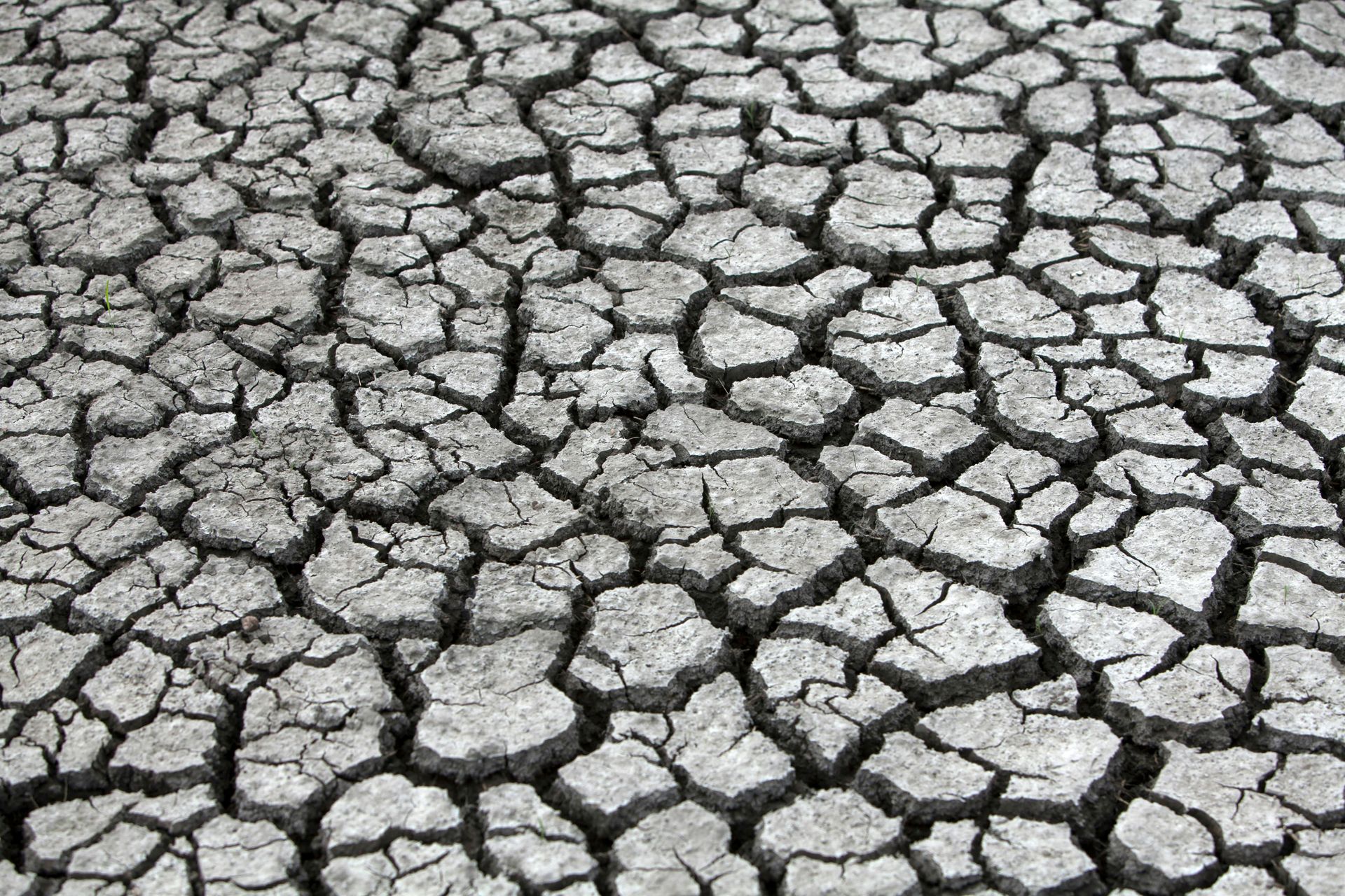 Cracked, dry earth; gray and brown texture from drought.