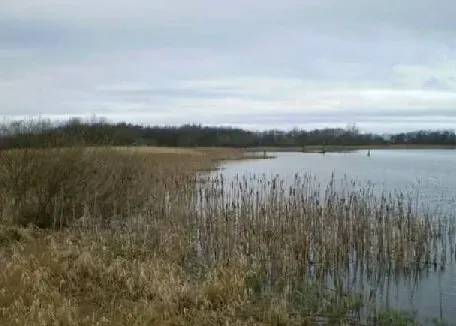 Big Waters Nature Reserve. Birdwatching sites in Northumberland
