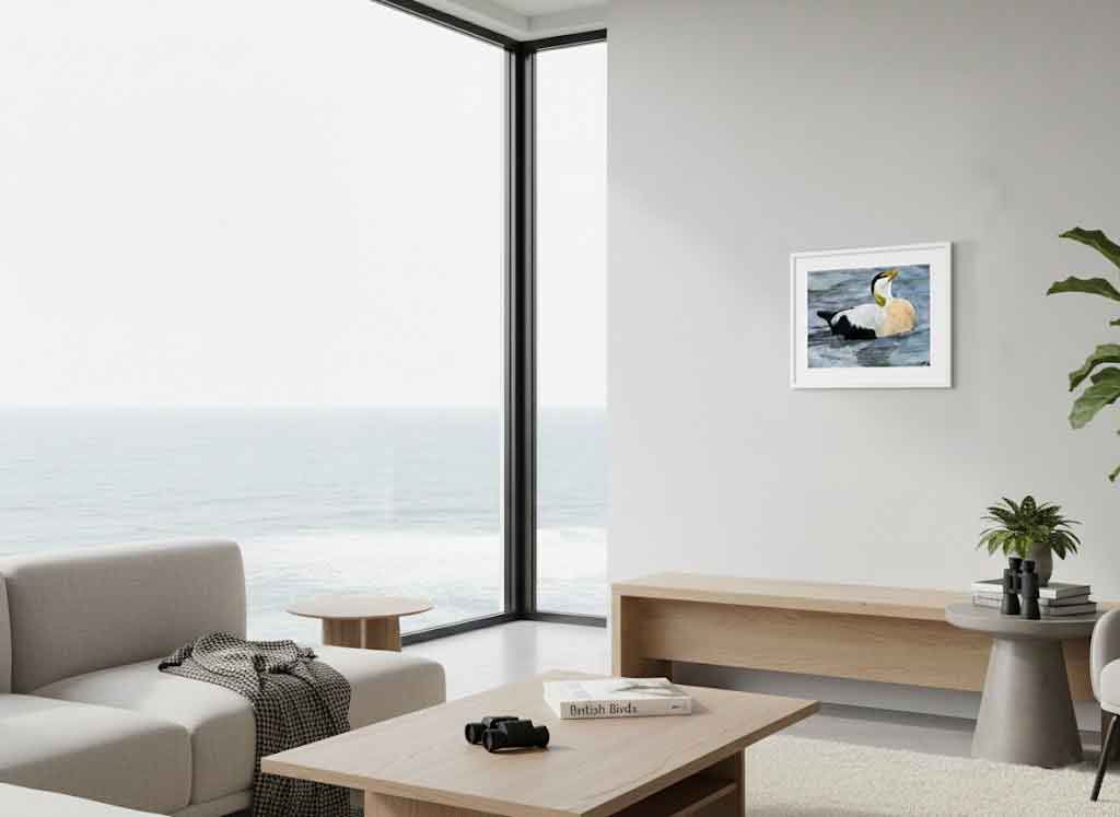 Picture of an eider on the sea. By Northumberland Author MiE fielding