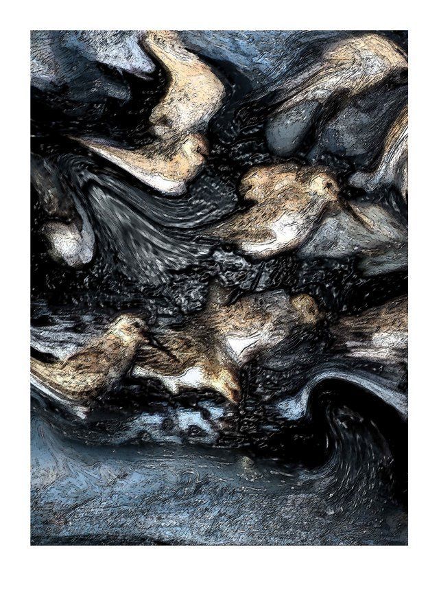 Dunlin painting by MiE Fielding. From the book 'The Sound of a Landscape'