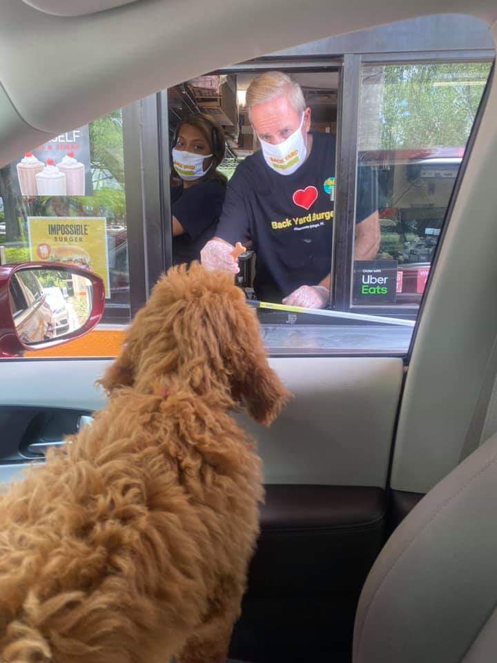 A dog is standing in a car at a drive thru window.