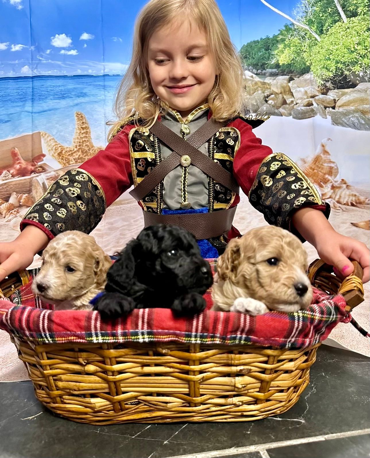 A little girl is holding three puppies in a basket.
