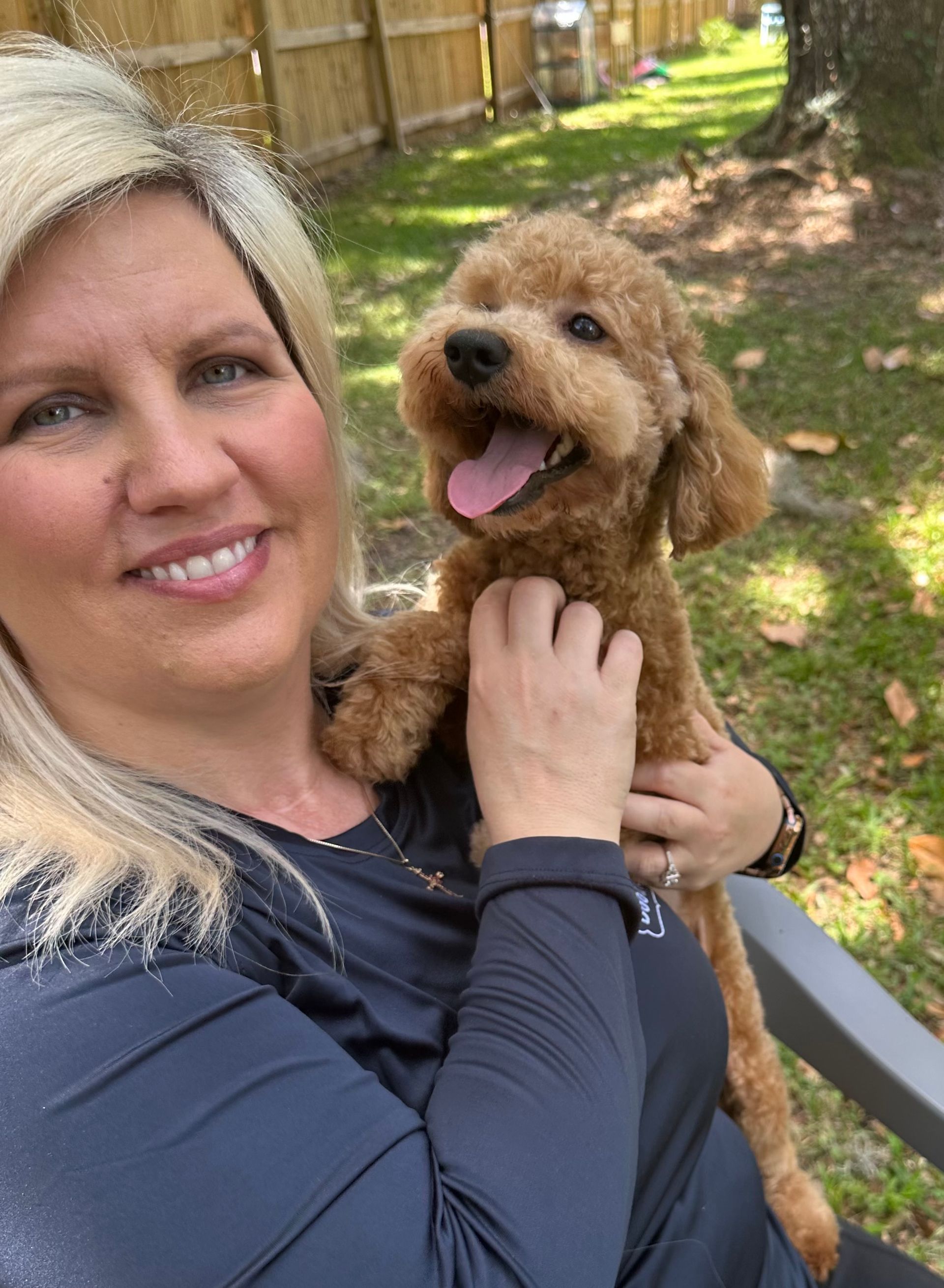 mini Goldendoodle