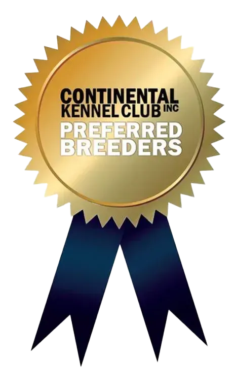 A gold continental kennel club inc preferred breeders ribbon