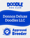 Donnas deluxe doodles llc is an approved breeder for doodle dog club