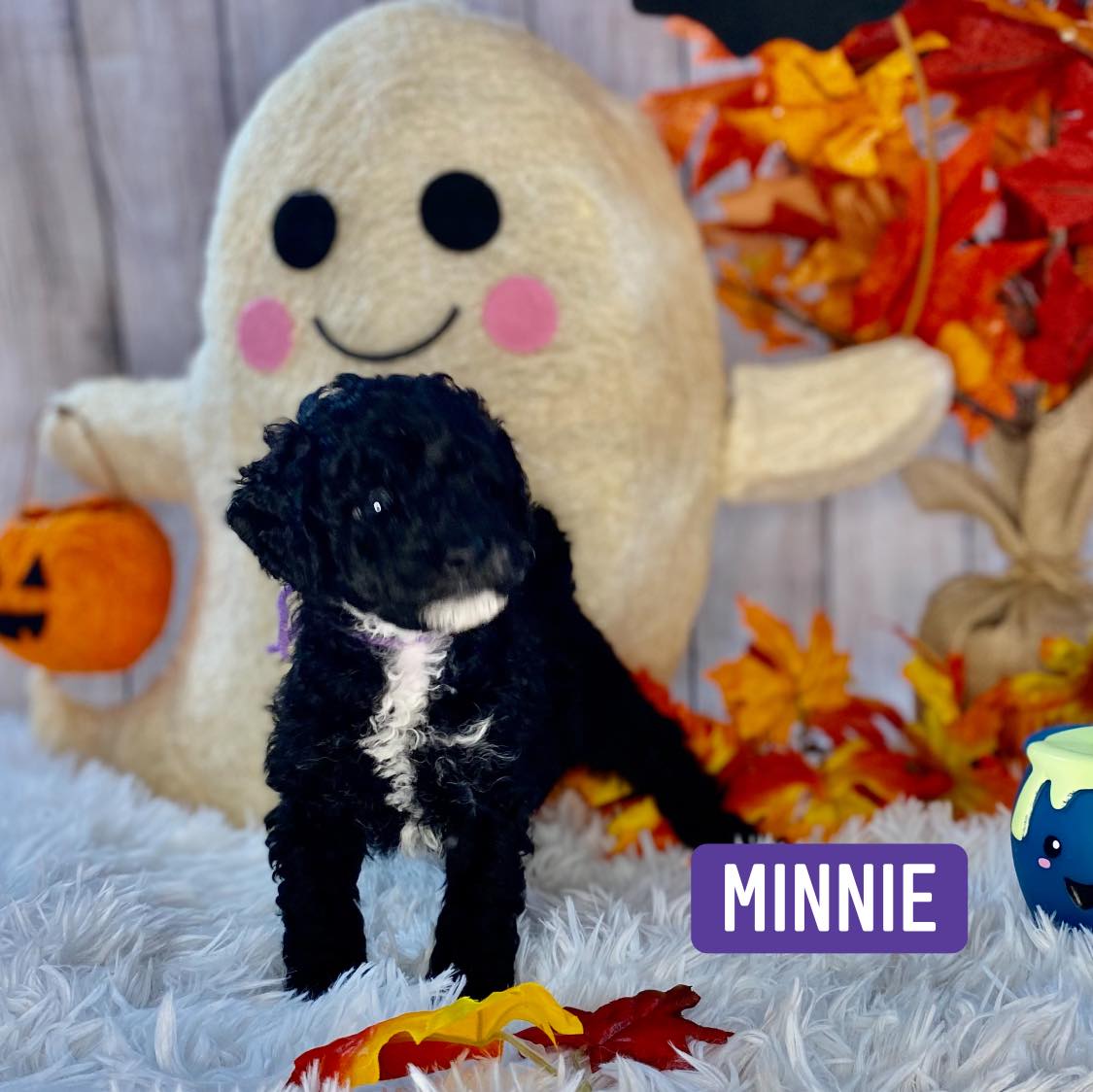 A puppy named minnie is standing next to a stuffed ghost