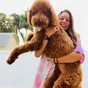 A woman is holding a large brown dog in her arms.