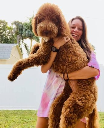 A woman is holding a large brown dog in her arms.