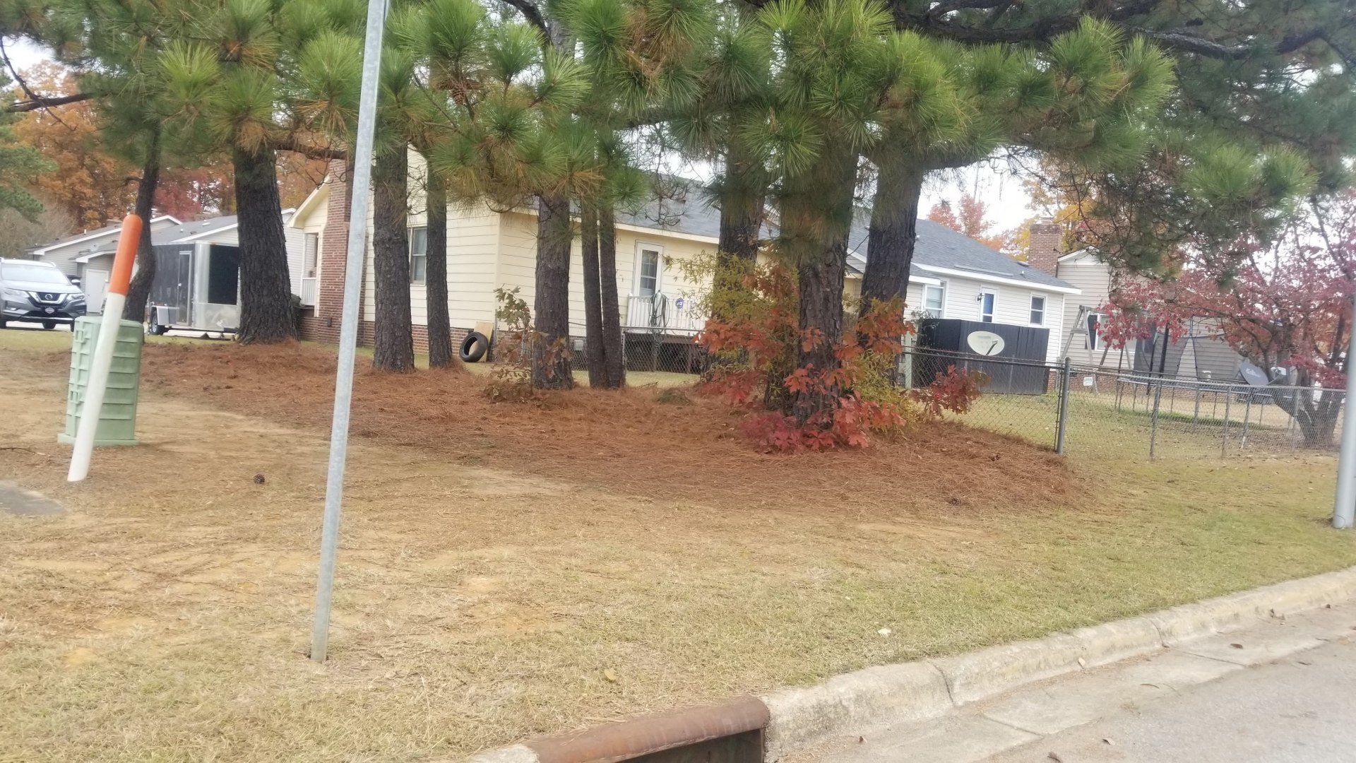 A house with a lot of trees in front of it.