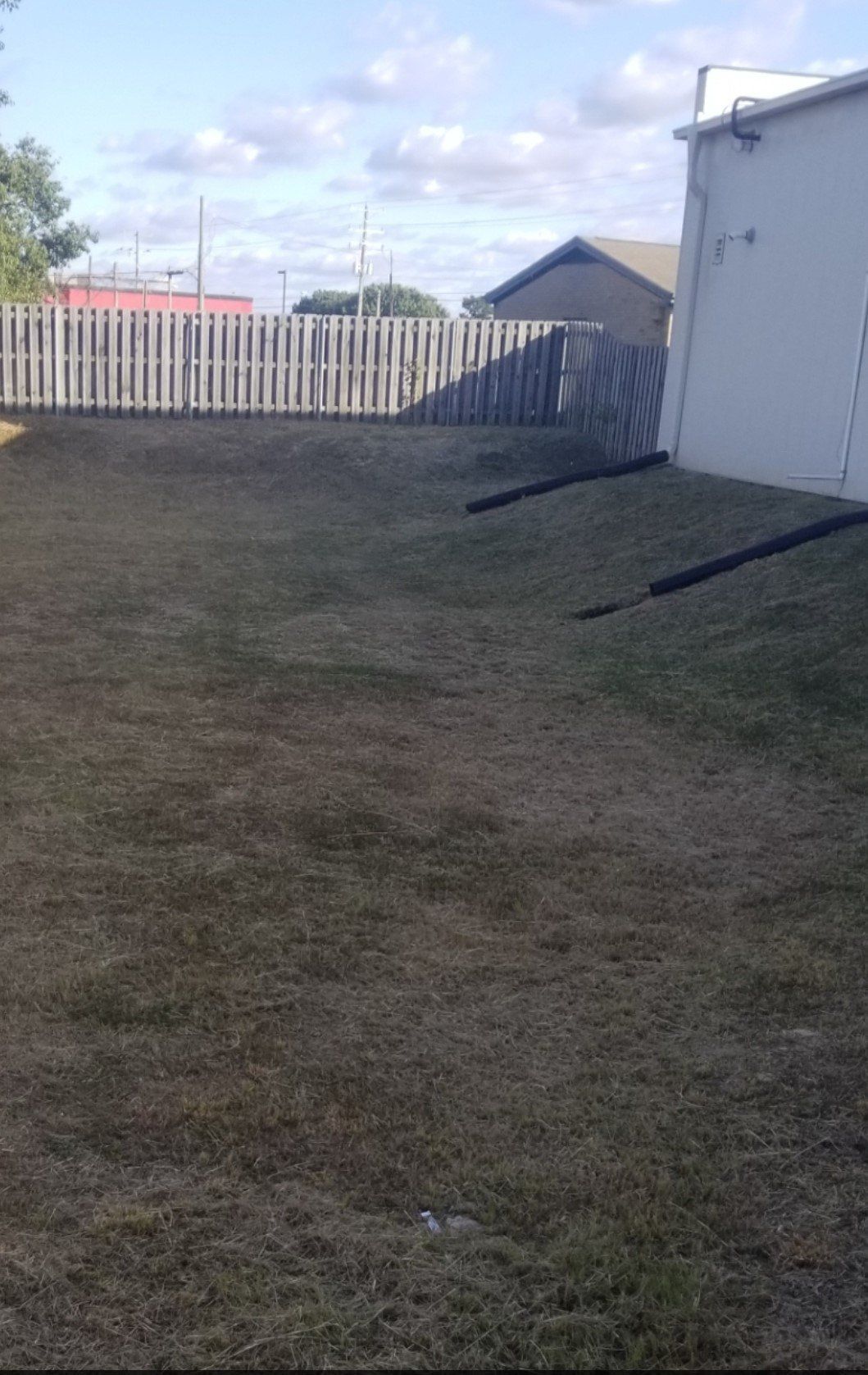 A lawn with a fence in the background and a white building in the background.