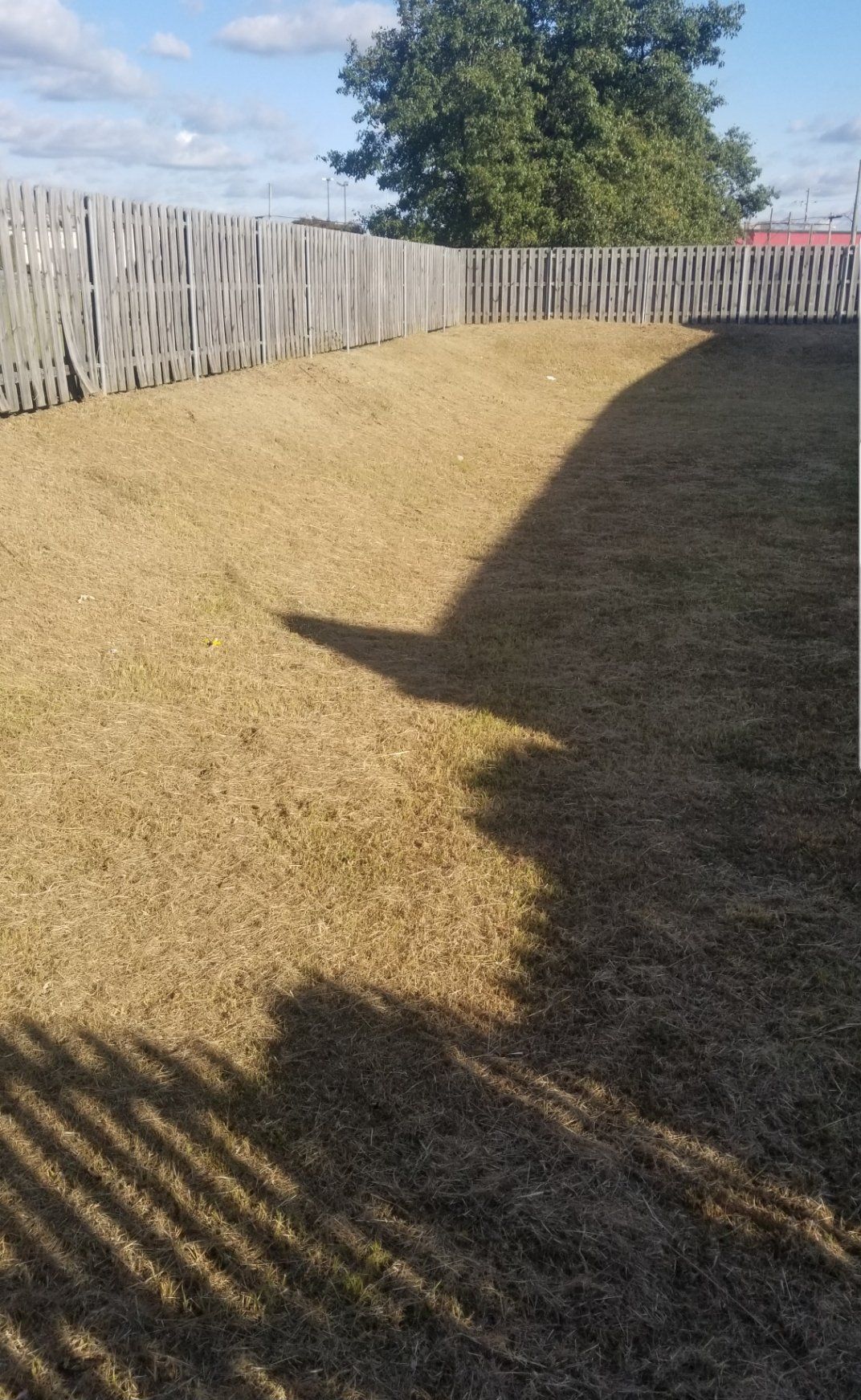 A backyard with a wooden fence and a tree in the background.