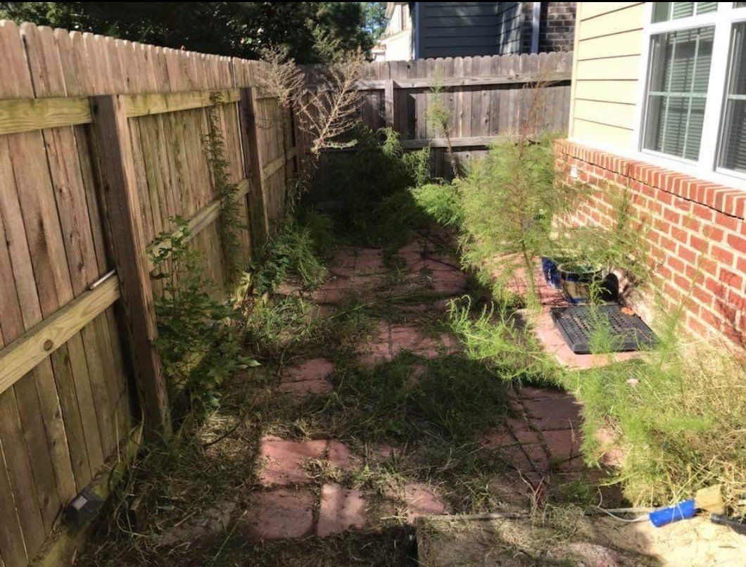 A wooden fence surrounds a brick walkway in a backyard.