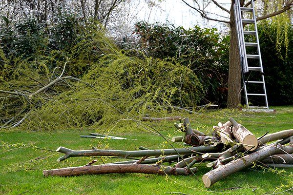Cleaning Fallen Trees — Mt. Juliet, TN — Love It Landscaping & Tree