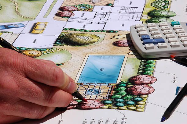 Close-up of a landscape designer designing a backyard.