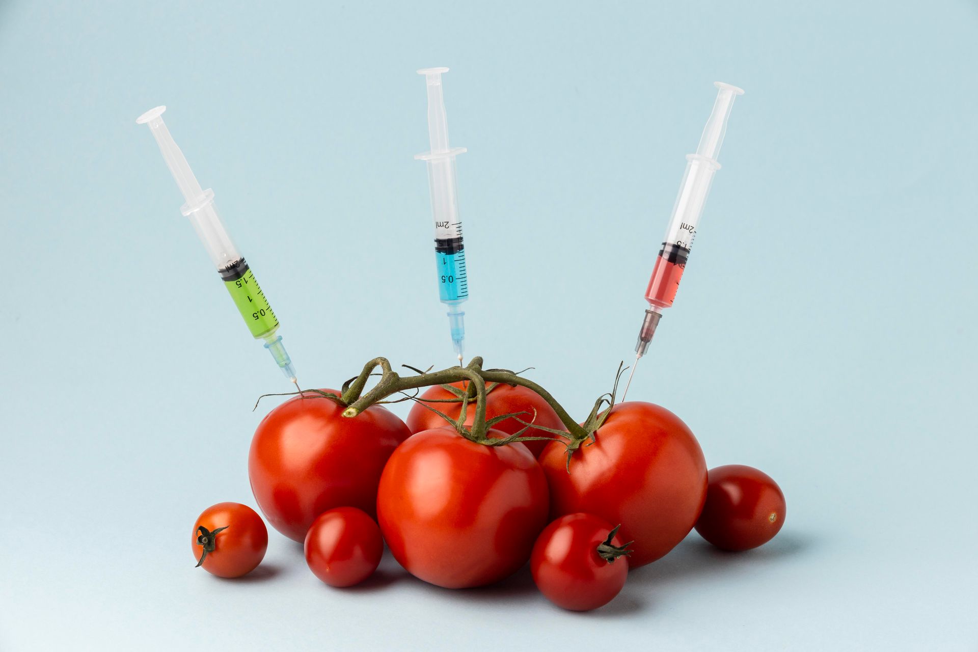 A bunch of tomatoes with syringes sticking out of them.