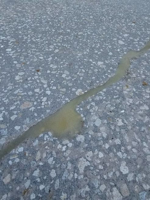 Yellowish liquid substance on gray concrete pavement.