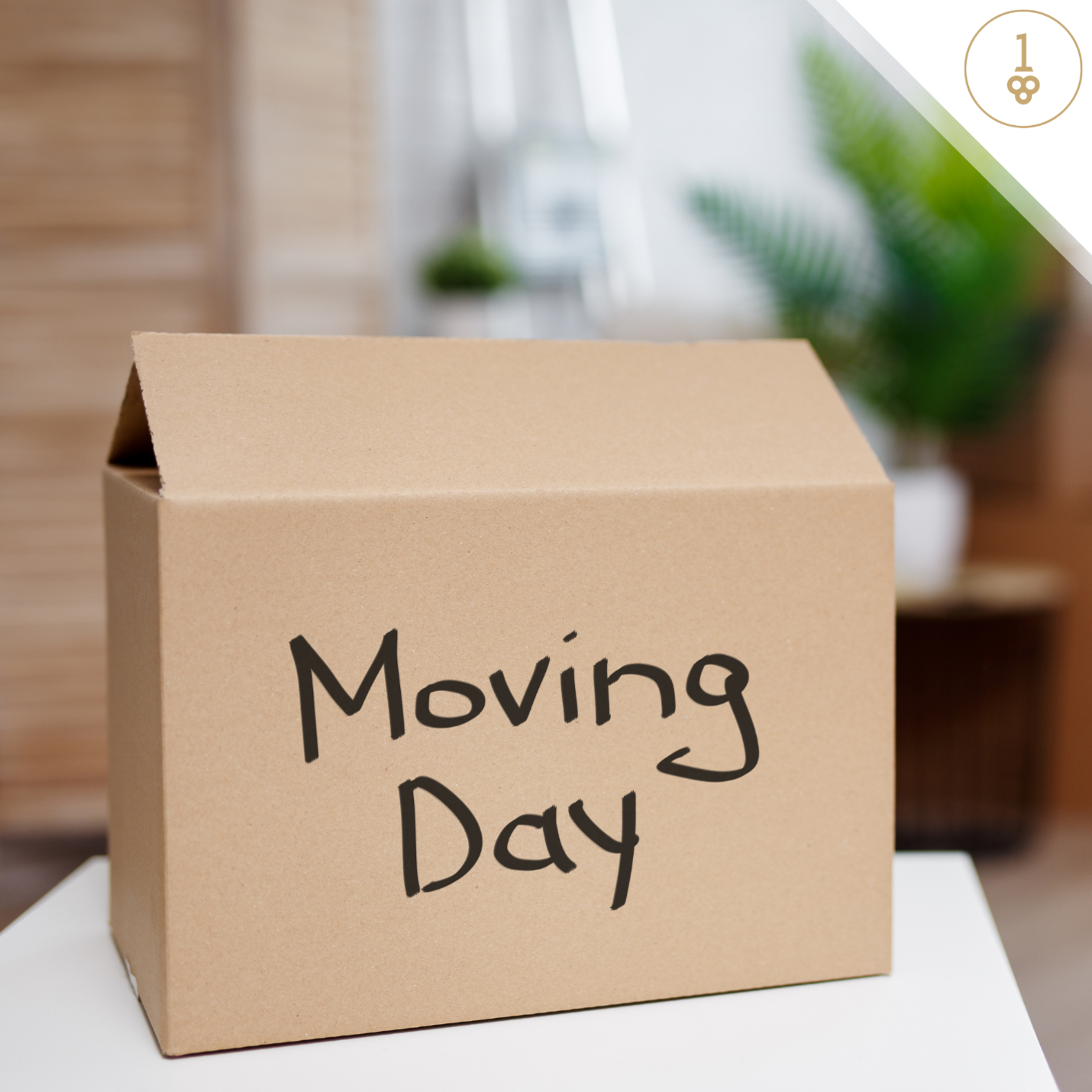 A cardboard box with the words moving day written on it