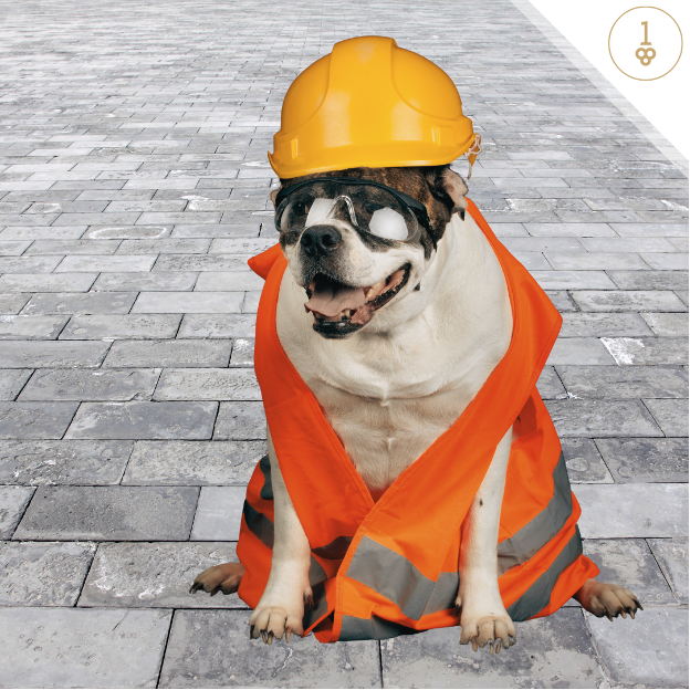 Dog dressed with hard hat and safety vest