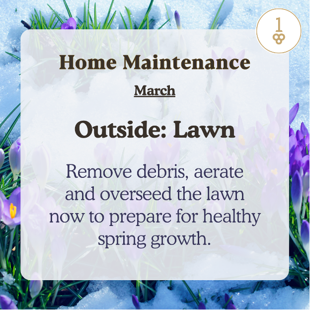 home maintenance outside lawn remove debris aerate and overseed the lawn now to prepare for healthy spring growth
