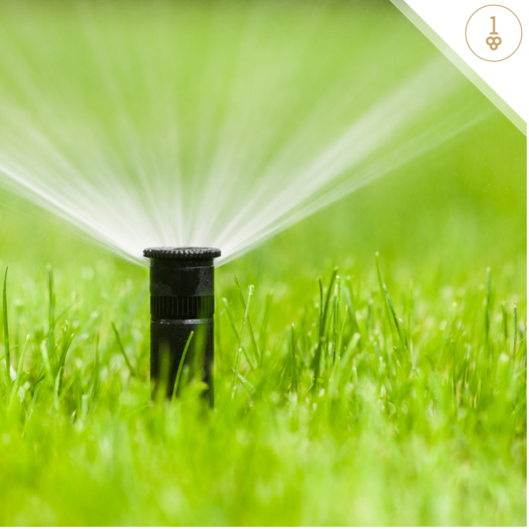 a sprinkler is spraying water on a lush green lawn .