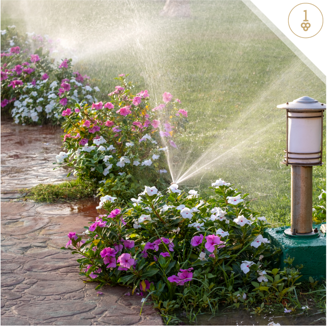 a sprinkler is spraying water on flowers in a garden.