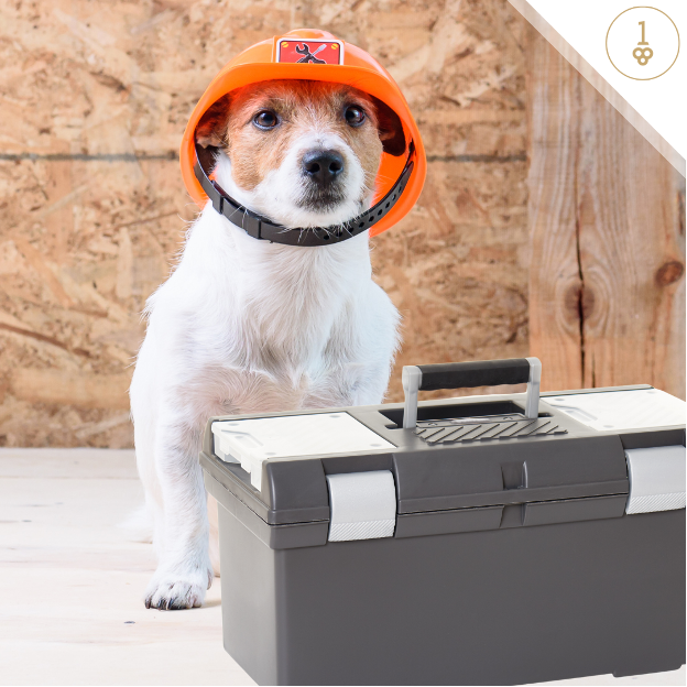 Small dog with a hard hat and tool box