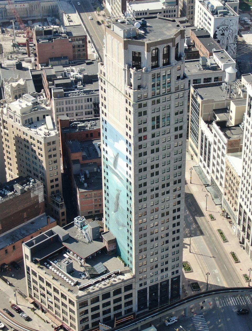 A man and a woman are standing in a field holding hands.