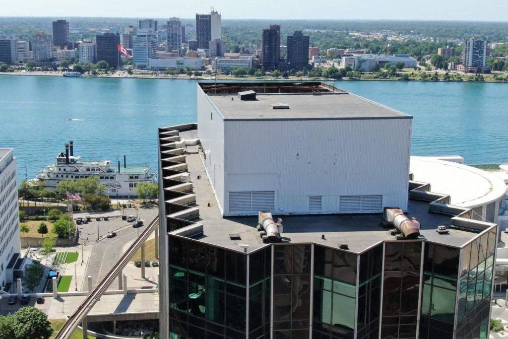 A man and a woman are standing in a field holding hands.