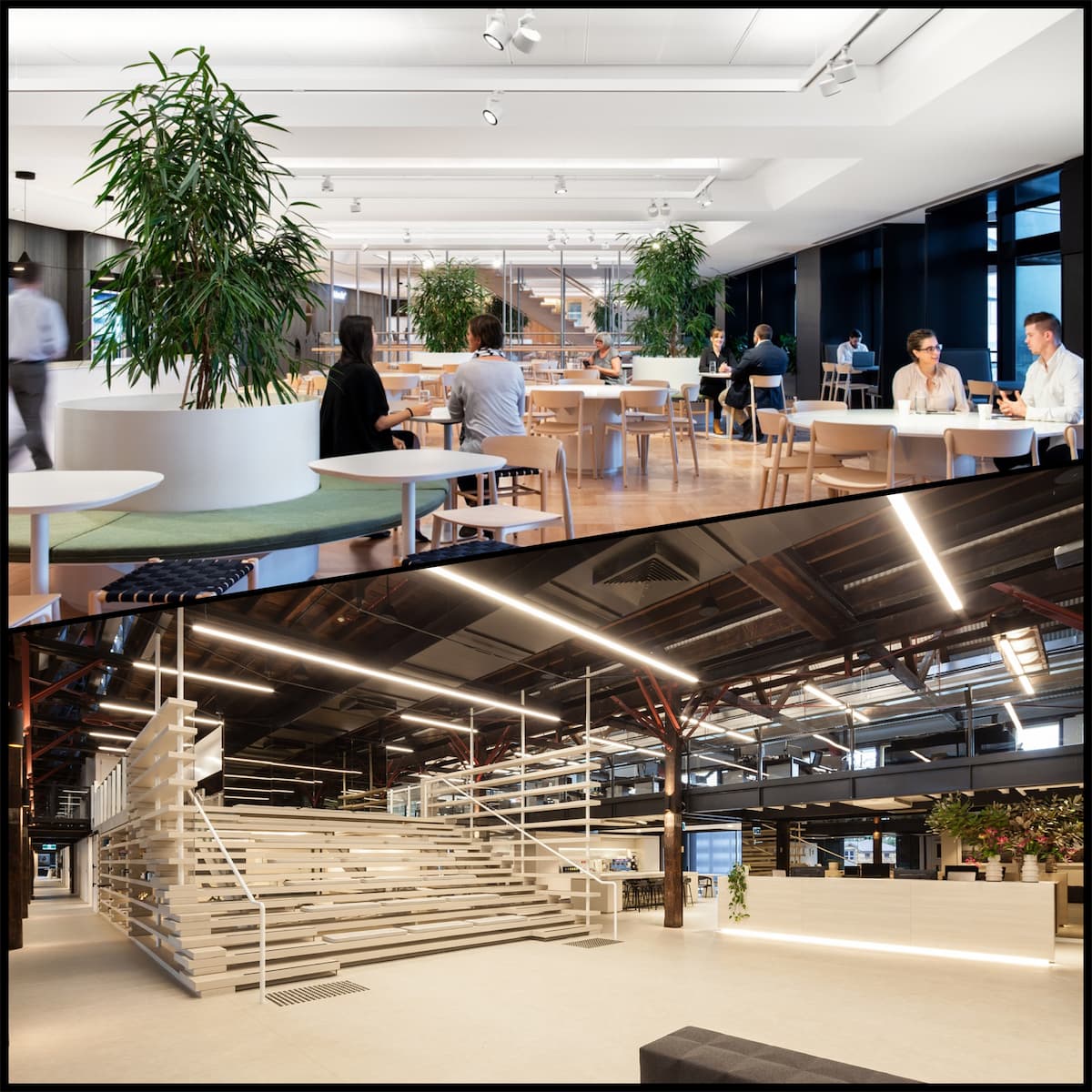 Corporate Job — Projects in Toormina, NSW