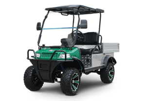 Green and black utility golf cart with cargo bed and roof, shown on a white background