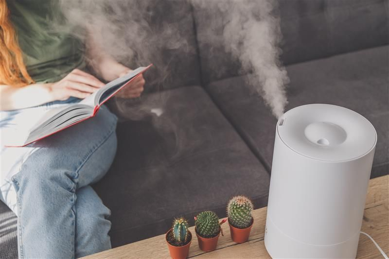 Will a Dehumidifier Get Rid of a Musty Smell