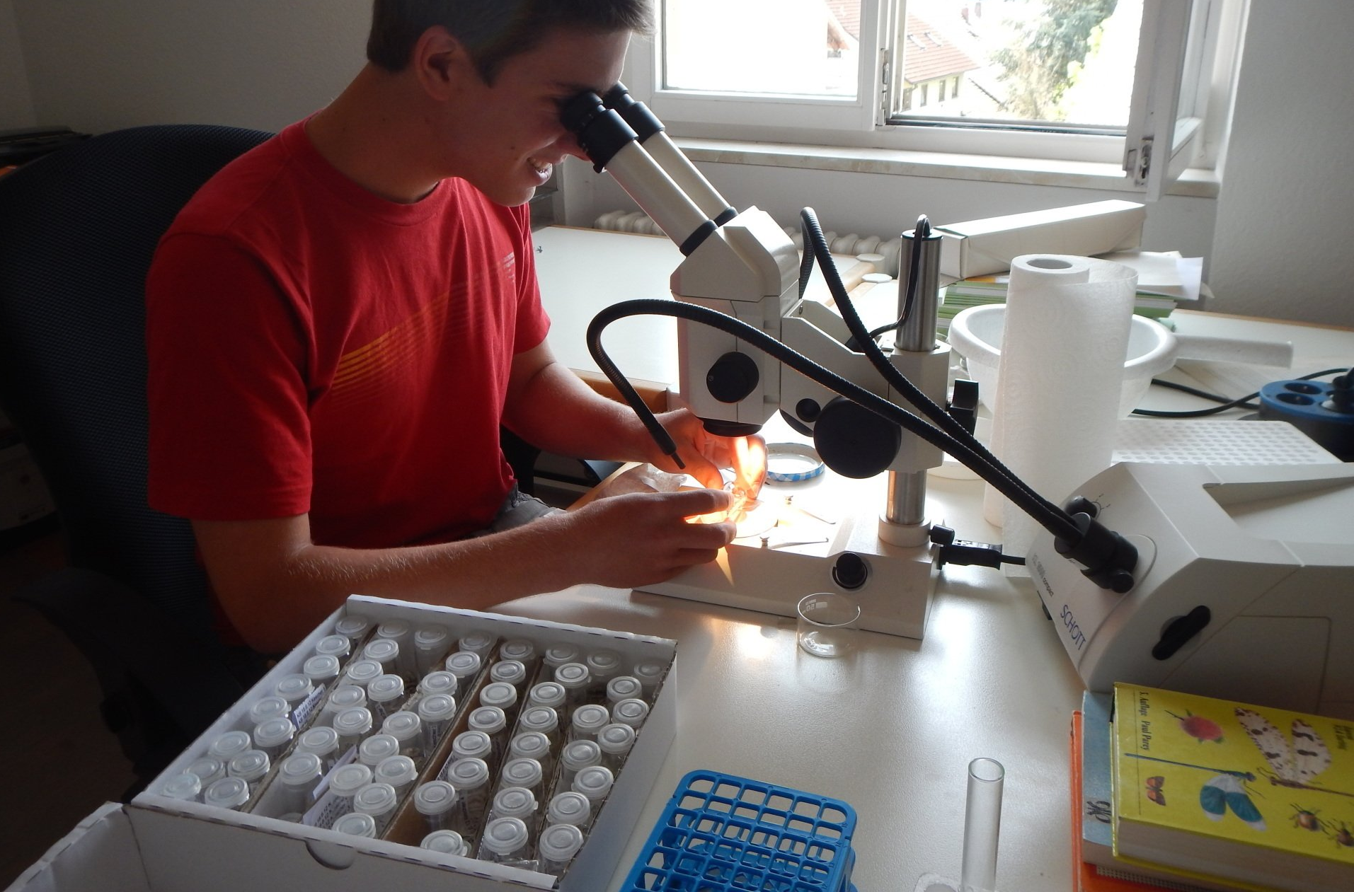 Eine Person im roten Hemd blickt durch ein Mikroskop und arbeitet mit Ampullen in einer Laborumgebung.