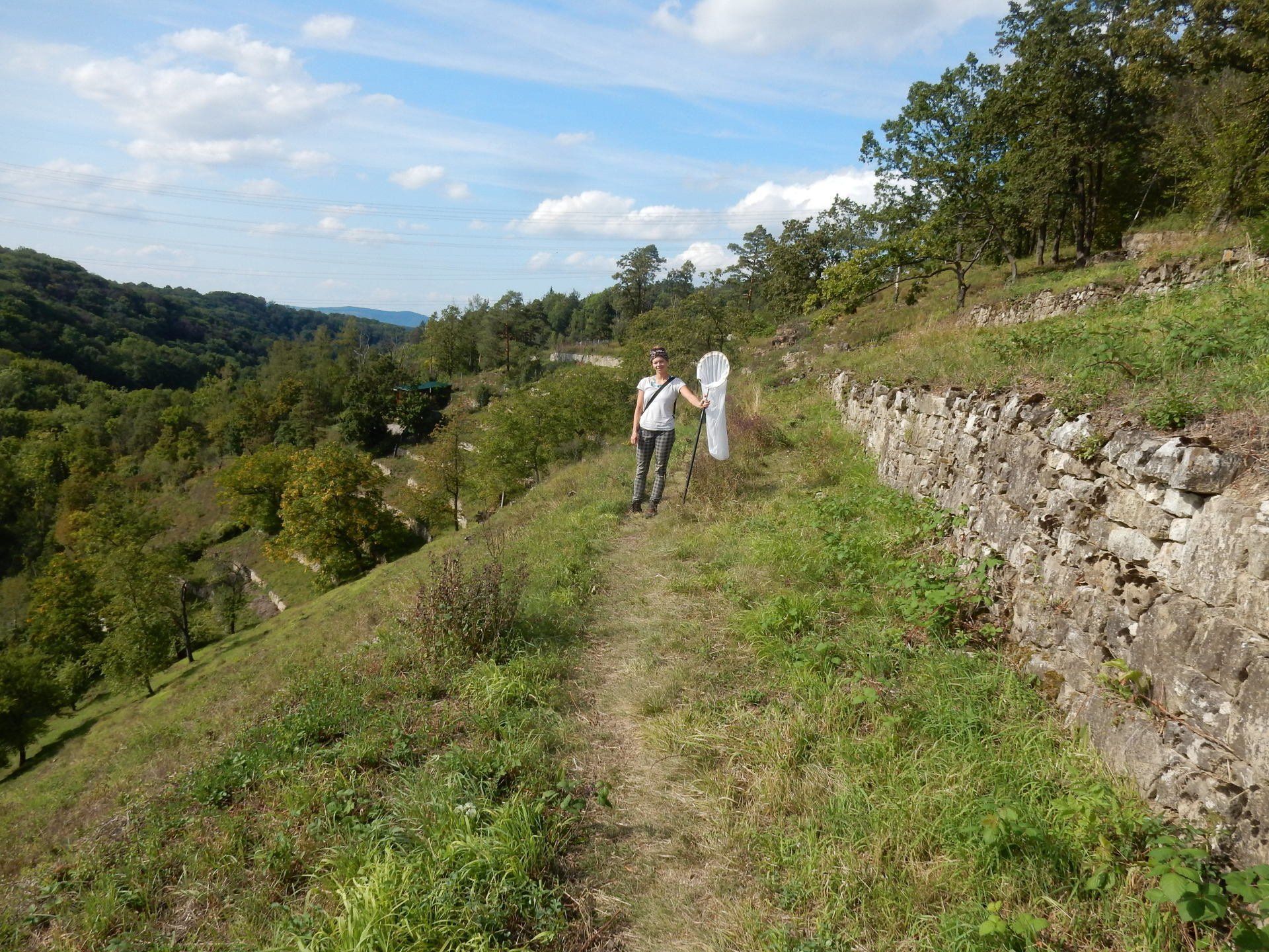 Eine Person steht auf einem Pfad und hält eine Fang-Netz. Steinmauern säumen den Weg, Bäume und ein Tal im Hintergrund.