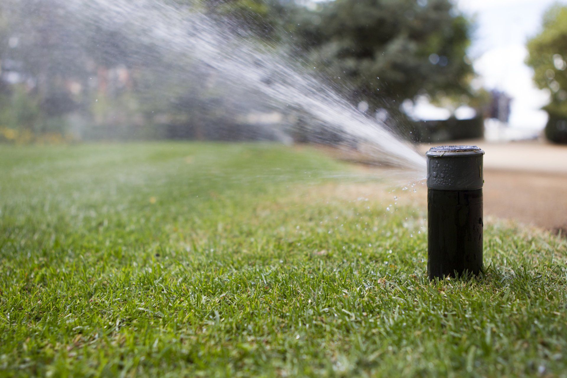 Sprinkler Install in Tremonton, UT