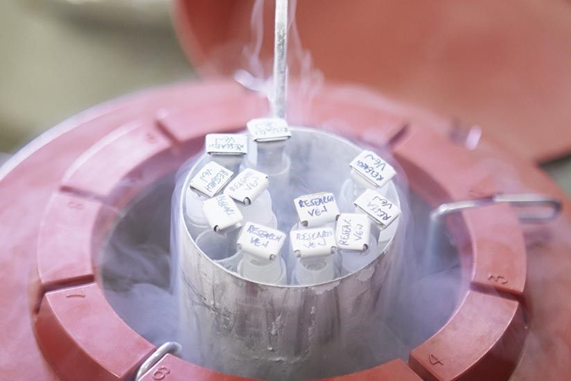 Egg Freezing Cost, Success Rate & Age Limit Medicover Fertility