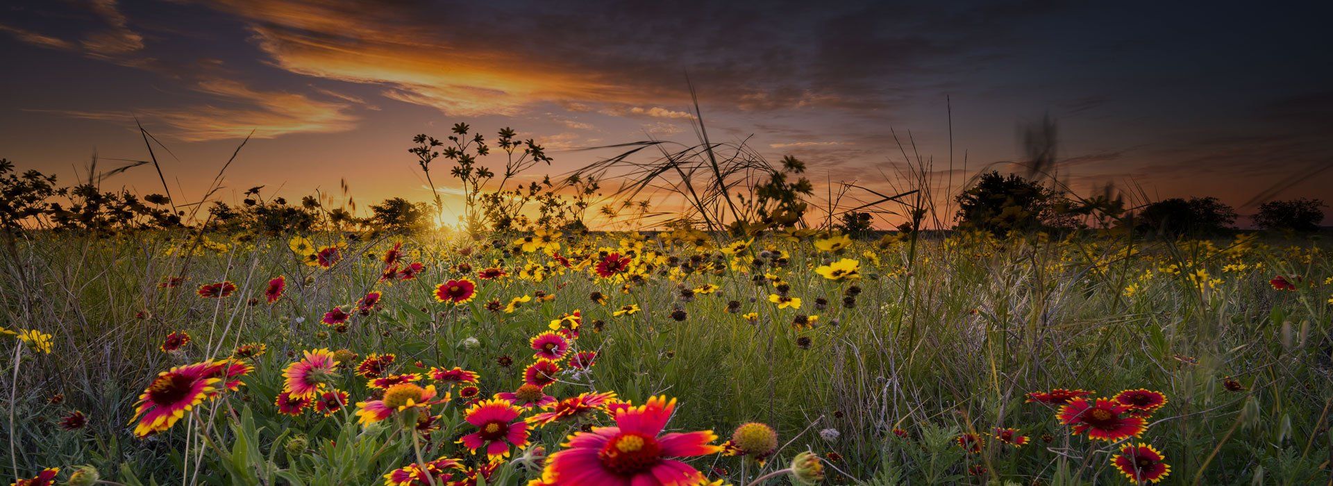 Higginbotham Funeral Home | Gorman, TX