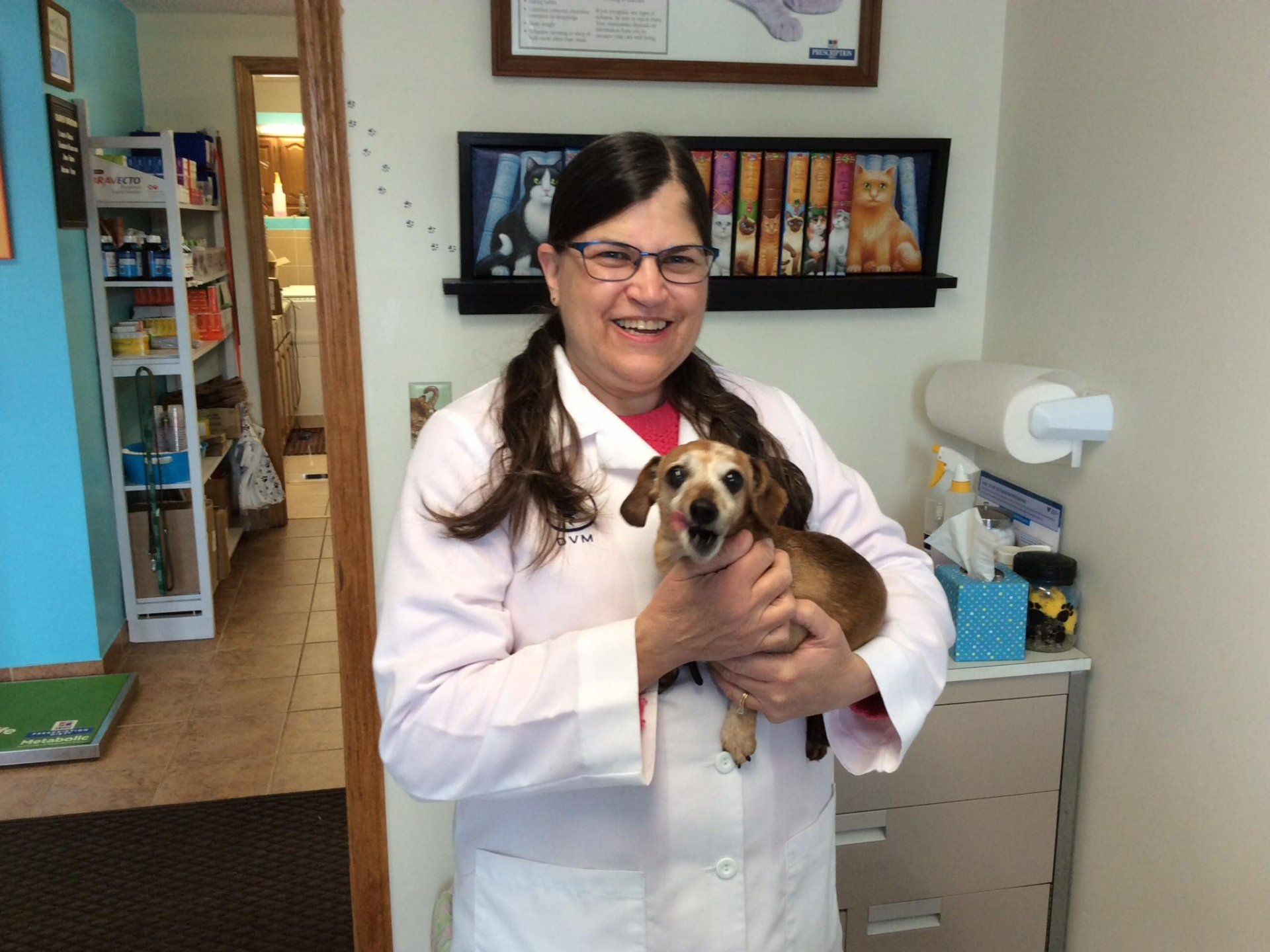 Veterinarian Carrying A Dog - Des Moines, IA - Hickman Road Veterinary Clinic