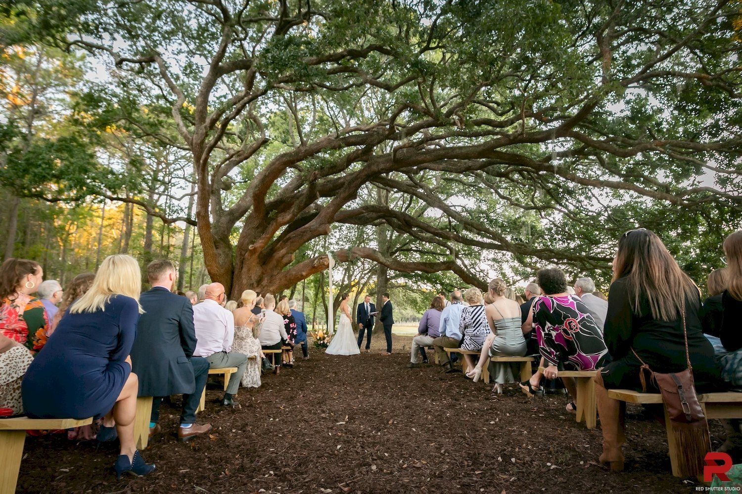 Salty Oak Farm Wedding Venue Charleston SC
