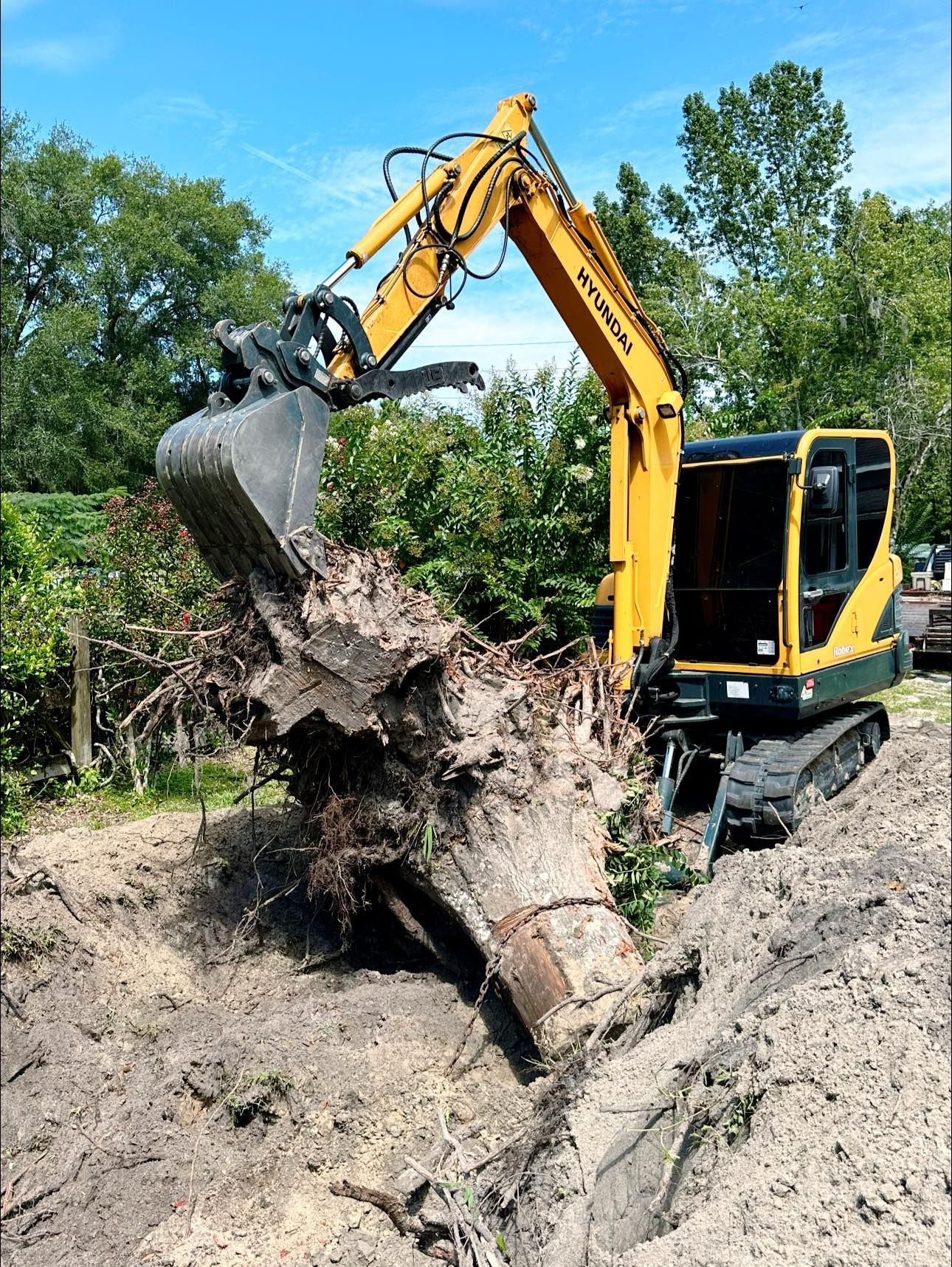 Our Project 03 in Bushnell, FL