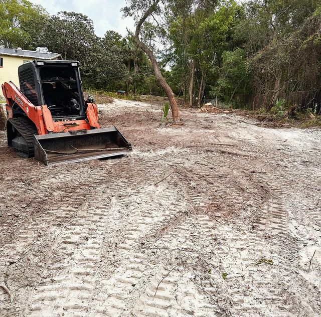 Precision Land Worx Expert Tree Brush Clearing in Bushnell FL