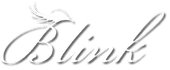 The word blink is written in cursive with wings on a white background.