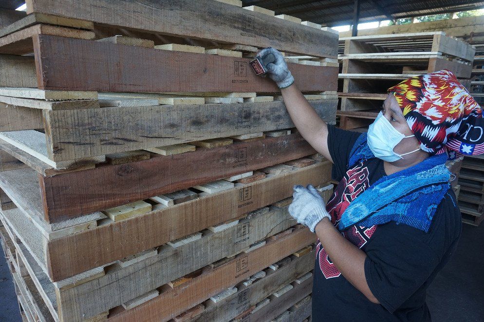 ISPM 15 Heat Treatment img 5