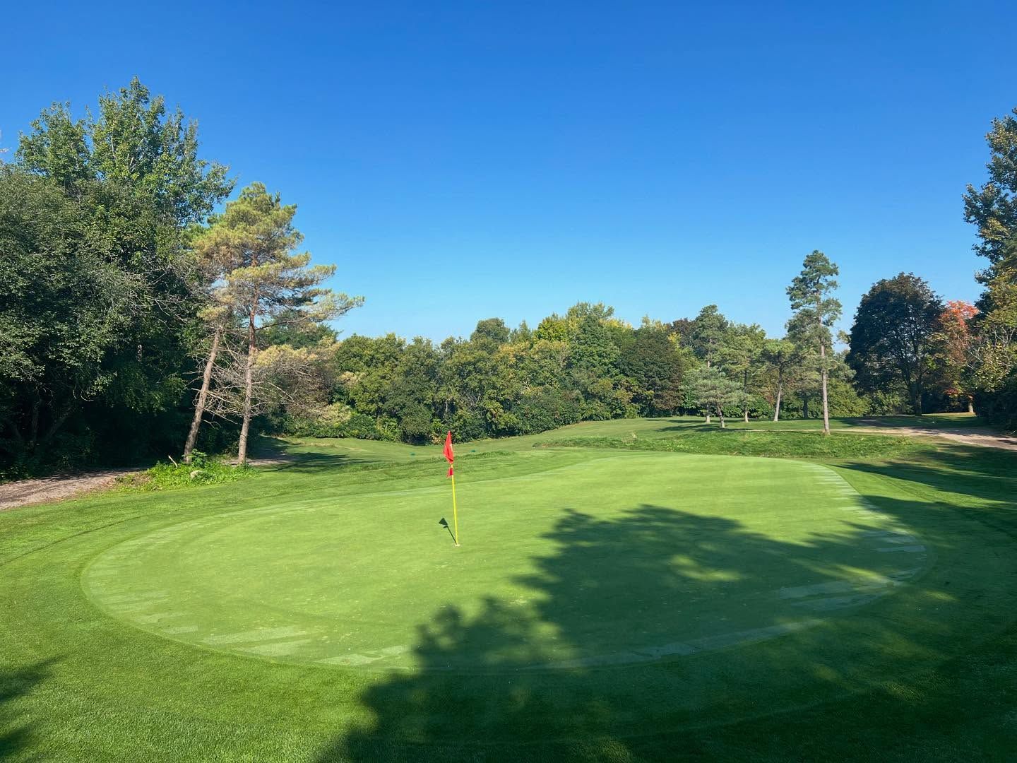 A golf course with a green and trees in the background