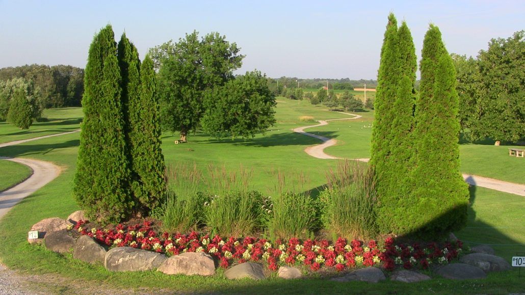 A golf course with trees and flowers in the foreground