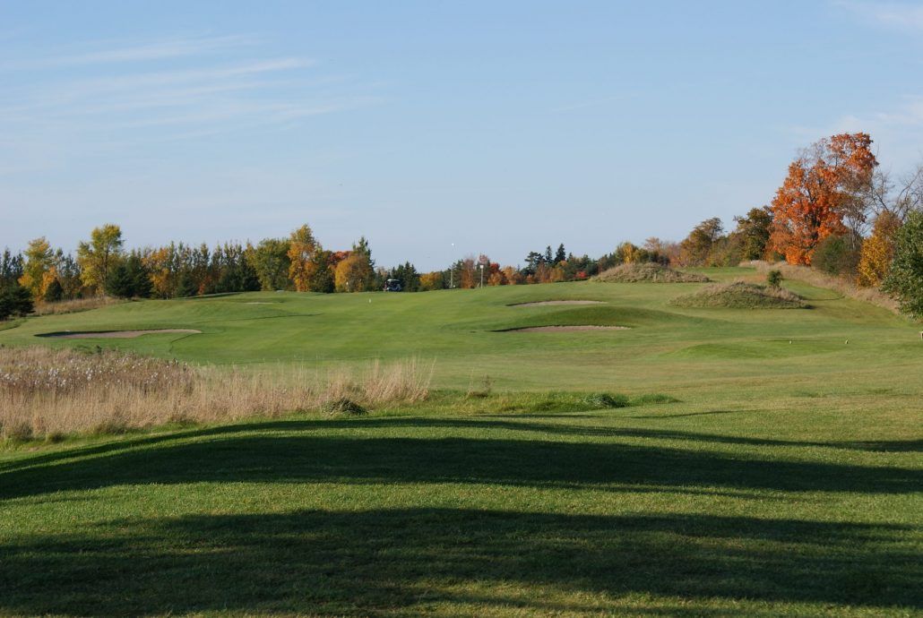 A golf course with trees in the background on a sunny day.