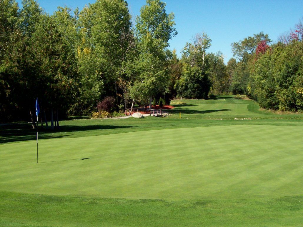 A golf course with a green and trees in the background