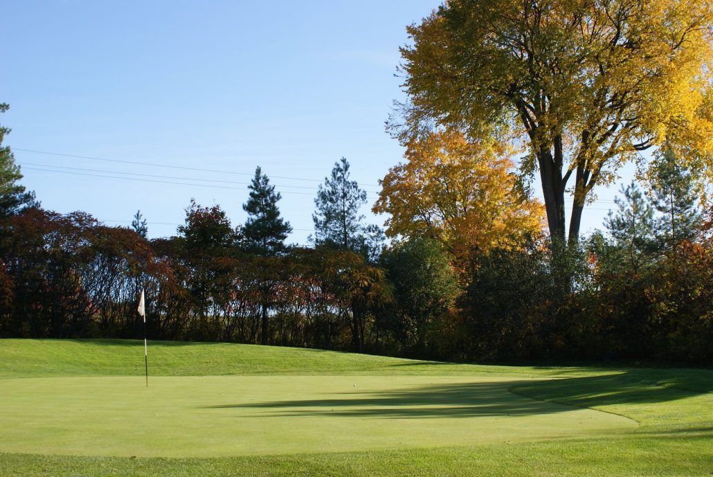 A green golf course with trees in the background