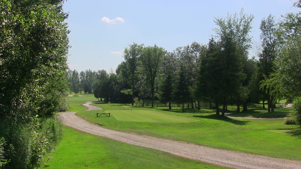 A dirt road going through a park with trees on both sides.