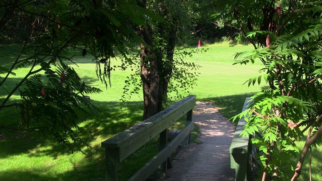 A wooden bridge over a river in a park surrounded by trees and grass.
